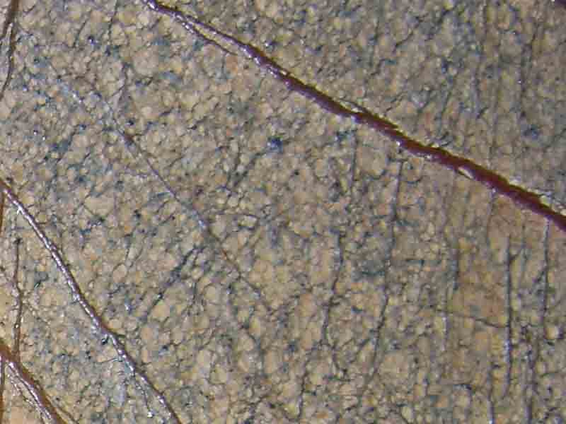 Forest brown antique